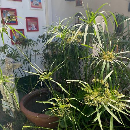 Silver Linings Guesthouse Parys Esterno foto
